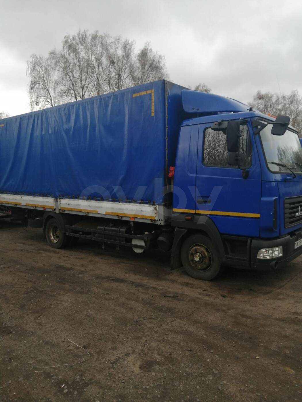 МАЗ 4371 V2, 2019 г., 4,8 л., дизель, механика, продажа в Светлогорске ...