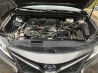 Toyota Camry XV70, 2019 г.