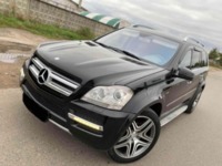 Mercedes-Benz GL-Класс X164 (Рестайлинг), 2010 г.