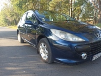 Peugeot 307 I · Рестайлинг, 2006 г.
