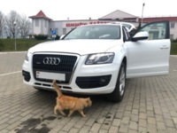 Audi Q5 8R, 2010 г.