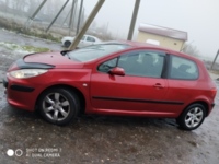 Peugeot 307 I · Рестайлинг, 2006 г.