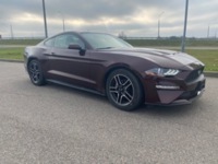 Ford Mustang VI, 2018 г.