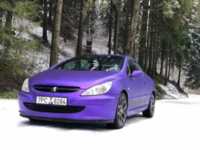 Peugeot 307 CC, 2004 г.