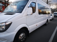 Mercedes-Benz Sprinter 515, 2013 г.