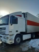 DAF 95 NAL 335, 1994 г.