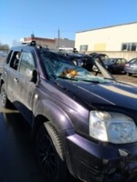 Nissan X-Trail I (T30), 5 мест, 2004 г.