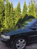 Opel Vectra B, 1998 г.