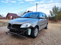 Skoda Roomster I, 2008 г.
