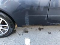 Fiat Punto II, 2001 г.