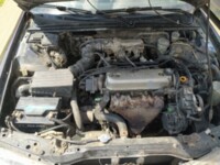 Honda Accord V, 1998 г.