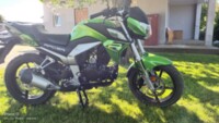 Racer Panther, 2019 г.
