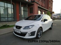 SEAT Ibiza IV, 2009 г.