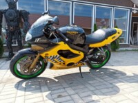 Triumph TT, 2001 г.