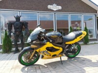 Triumph TT, 2001 г.