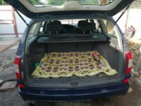 Opel Omega B · Рестайлинг, 2000 г.