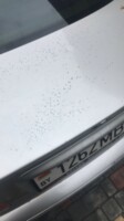 BMW 3 серия E46, 2002 г.