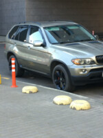BMW X5 E53, 2005 г.