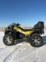 BRP Outlander BRP CAN-AM OUTLANDER XMR 800. G1, 2010 г.