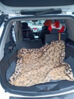 GMC Terrain I, 2010 г.