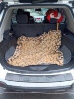 GMC Terrain I, 2010 г.