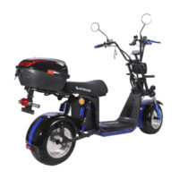 Эксклюзив Редкая модель SKYBOARD BR30-2WD PRO, 2022 г.