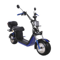 Эксклюзив Редкая модель SKYBOARD BR30-2WD PRO, 2022 г.