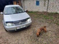 Volkswagen Bora, 2005 г.