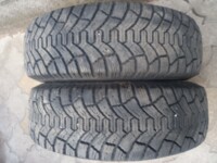 Легковые шины Tunga Nordwey 185/65 R15 2 шт.