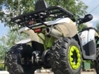 Motoland Wild Trak Lux, 2022 г.