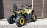 Motoland Wild Trak X, 2022 г.