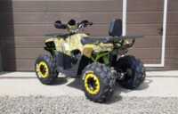 Motoland Wild Trak X, 2022 г.