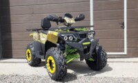 Motoland Wild Trak X, 2022 г.