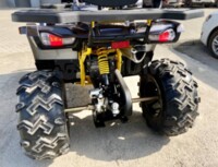Motoland Wild Trak X pro, 2022 г.