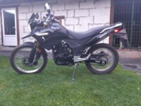 Racer Ranger RACER RC250 GY8A, 2019 г.