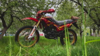 Ekonika Roliz Sport 005 Disc, 2022 г.