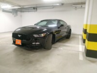 Ford Mustang VI, 2017 г.