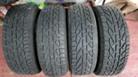 Легковые шины Tigar Ice 225/55 R19 4 шт.