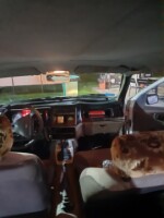 Ford Sierra I, 1983 г.