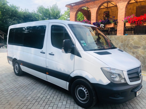 Mercedes-Benz Sprinter 316, 2015 г.