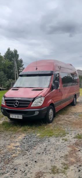 Mercedes-Benz Sprinter 906 Individual 319, 2009 г.
