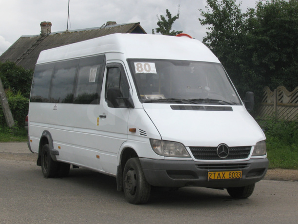 Mercedes-Benz Sprinter, 2008 г.