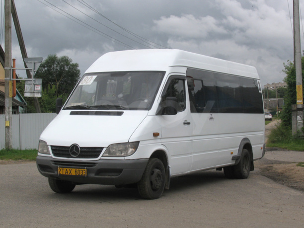 Mercedes-Benz Sprinter, 2008 г.