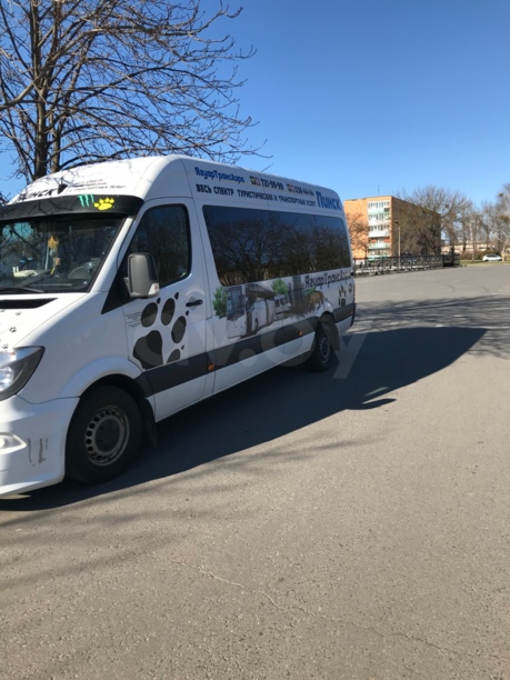 Mercedes-Benz Sprinter 316, 2016 г.