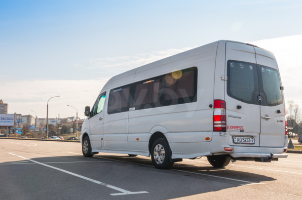 Mercedes-Benz Sprinter XXXL, 2009 г.