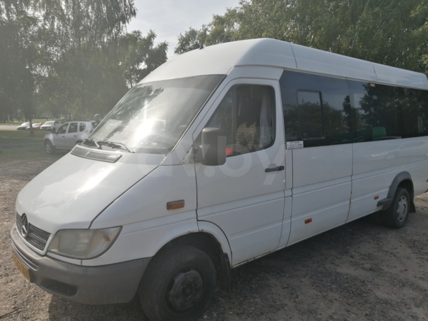 Mercedes-Benz Sprinter, 2008 г.