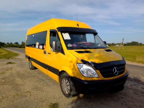 Mercedes-Benz Sprinter, 2010 г.