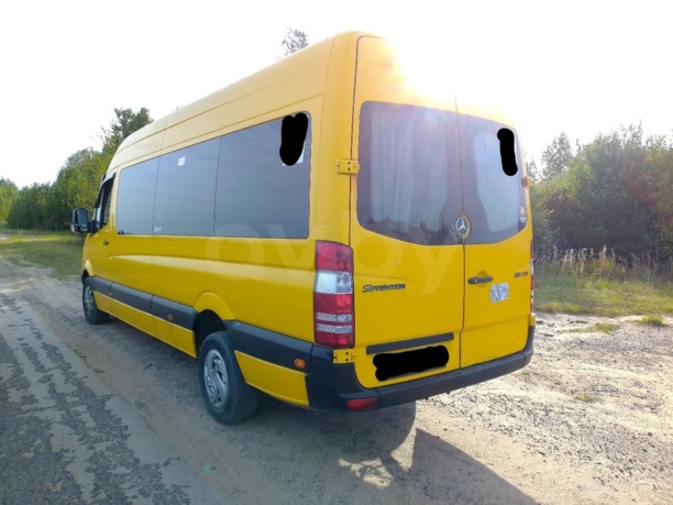 Mercedes-Benz Sprinter, 2010 г.