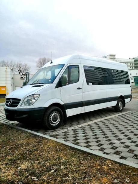 Mercedes-Benz Sprinter 313, 2009 г.