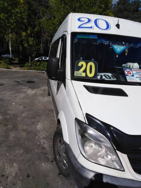 Mercedes-Benz Sprinter, 2010 г.
